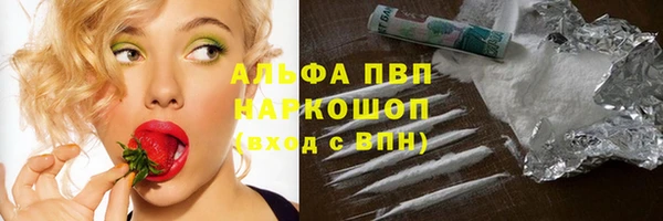 тгк Болотное