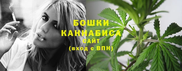 ГАЛЛЮЦИНОГЕННЫЕ ГРИБЫ Сафоново