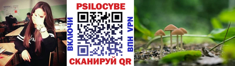 Псилоцибиновые грибы GOLDEN TEACHER  Купить  Избербаш 